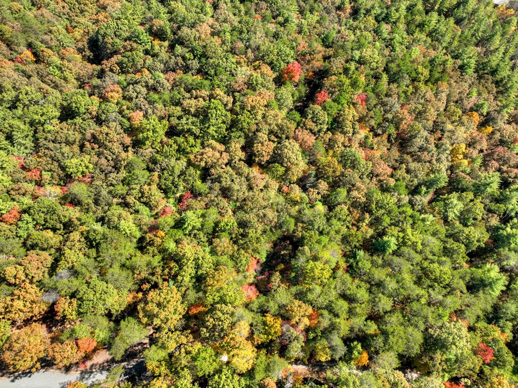 Lot 53 Whitepath Circle N