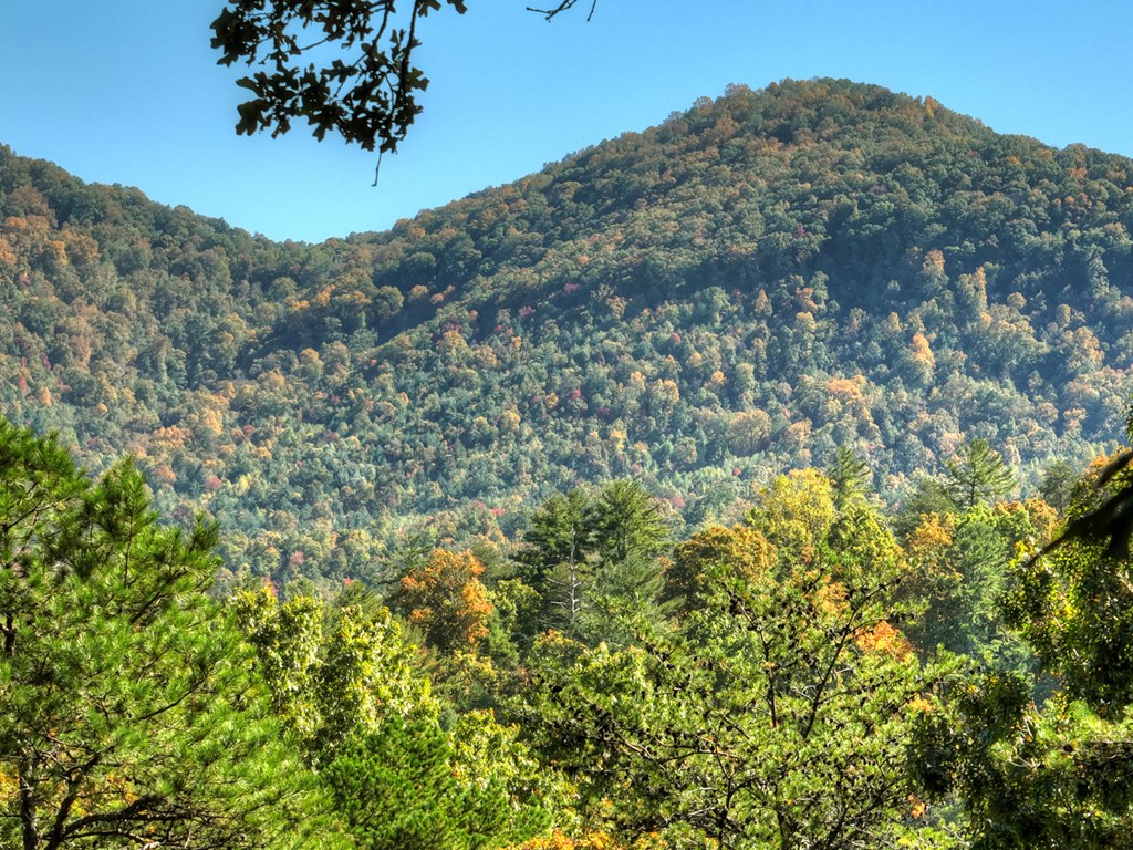 Lot 53 Whitepath Circle N