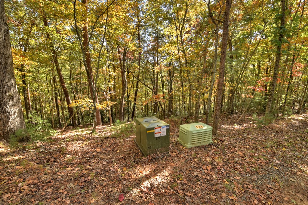 Lot 53 Whitepath Circle N