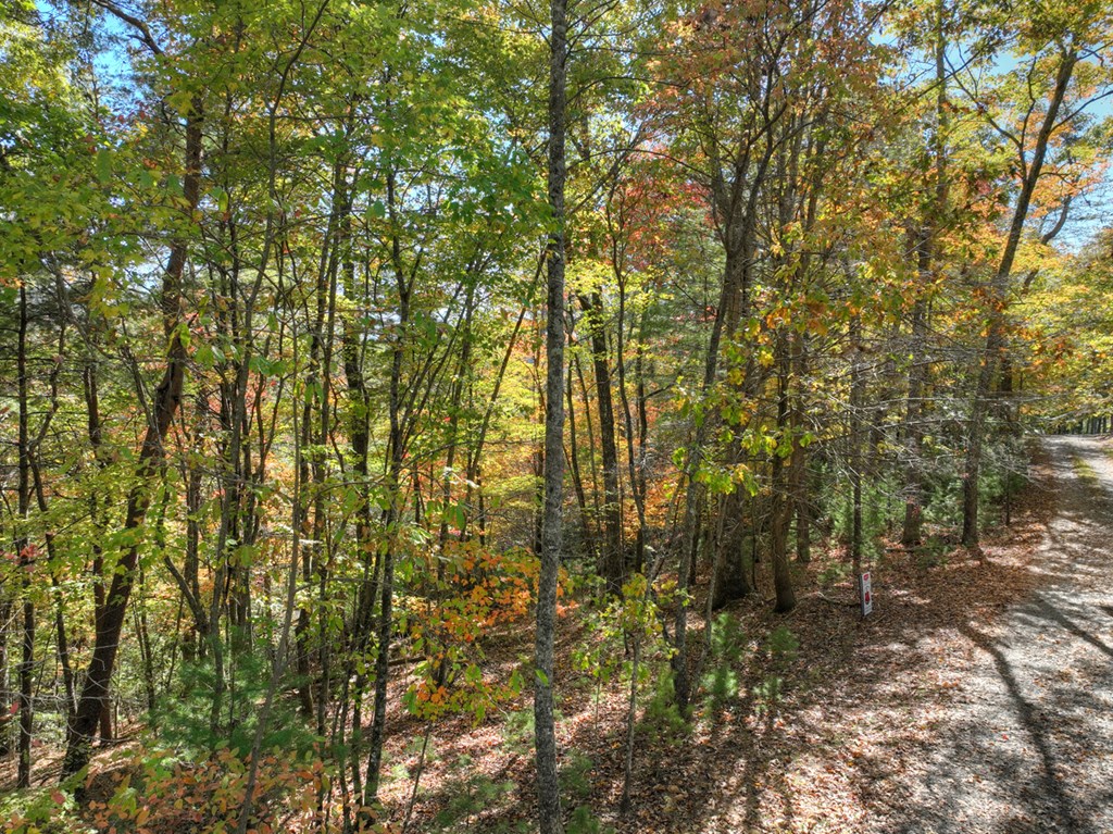 Lot 53 Whitepath Circle N