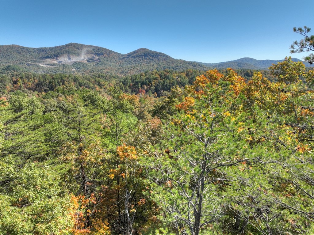 Lot 53 Whitepath Circle N