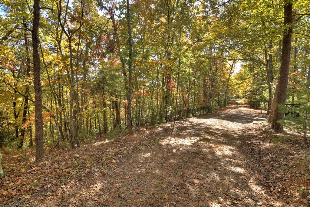 Lot 53 Whitepath Circle N