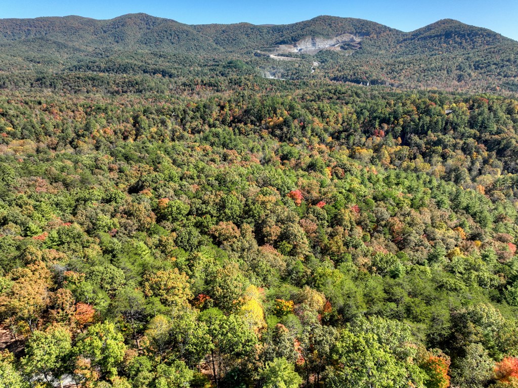 Lot 53 Whitepath Circle N