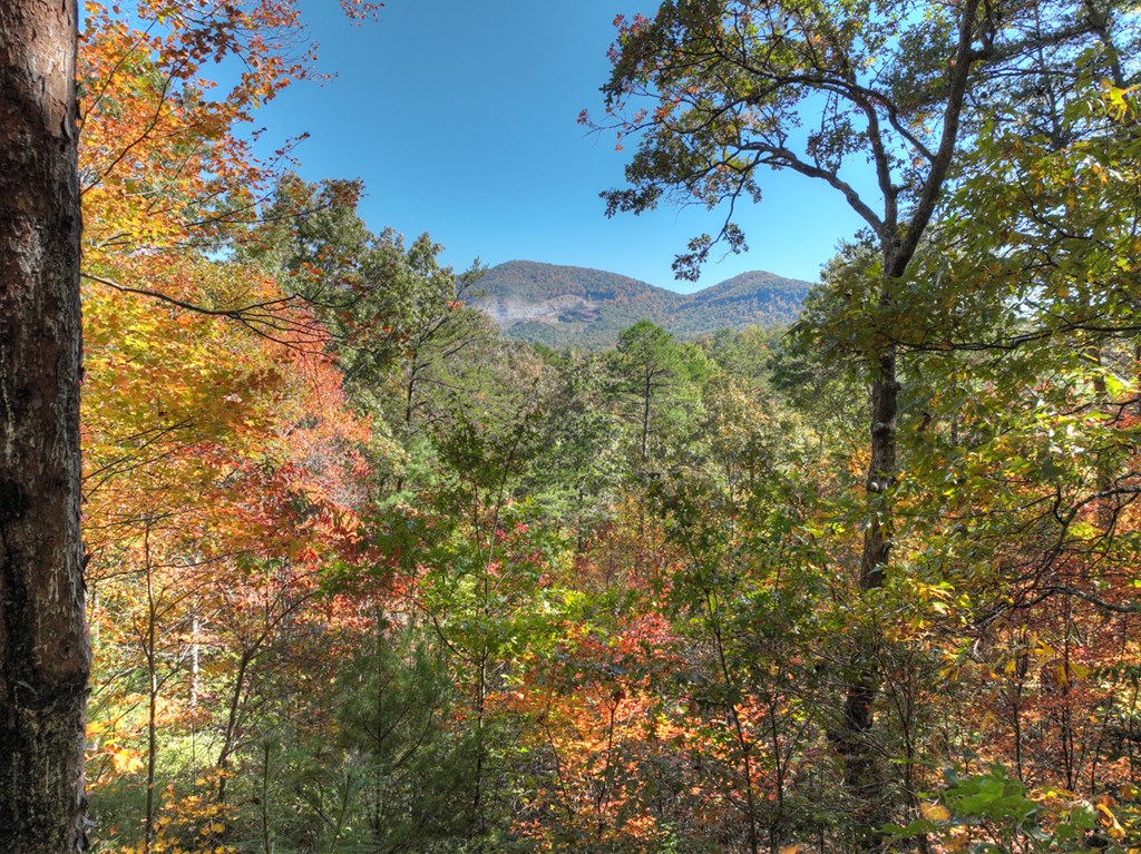 Lot 53 Whitepath Circle N