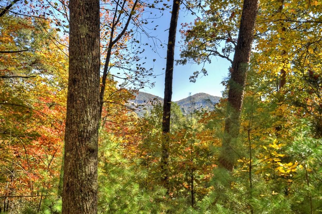 Lot 53 Whitepath Circle N