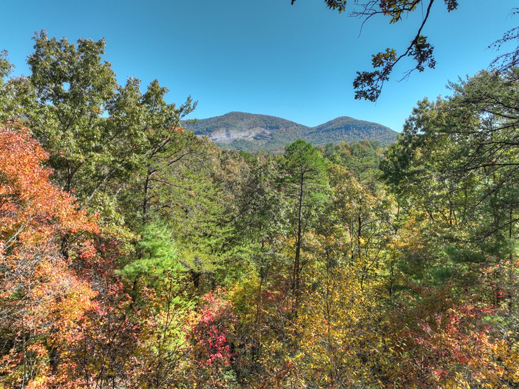 Lot 53 Whitepath Circle N