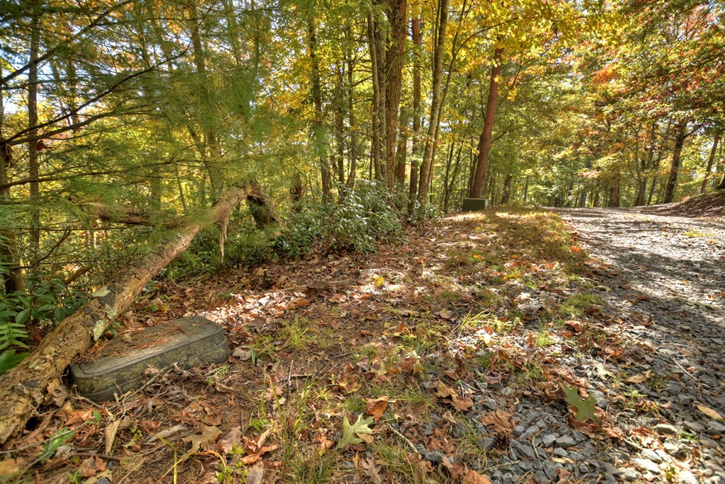 Lot 53 Whitepath Circle N