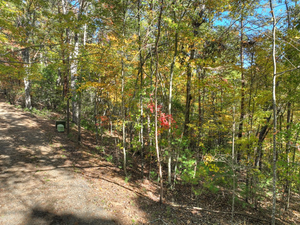 Lot 53 Whitepath Circle N