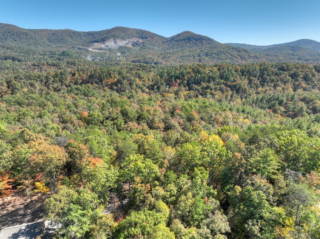 Lot 53 Whitepath Circle N