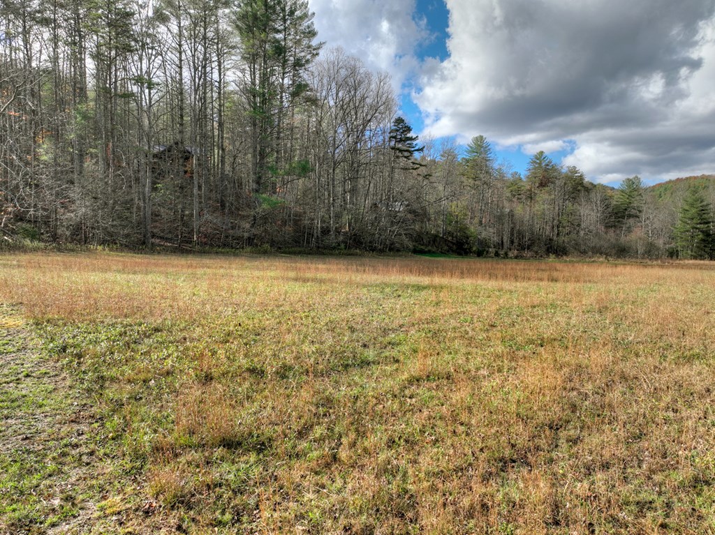 203 Buck Creek Trail