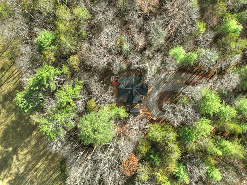 203 Buck Creek Trail