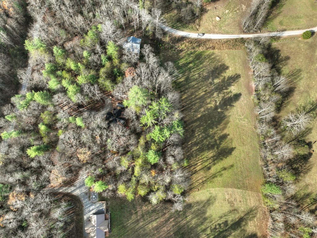 203 Buck Creek Trail