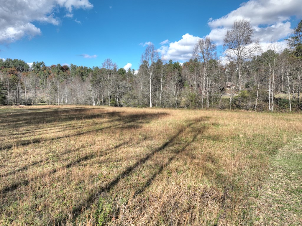 203 Buck Creek Trail