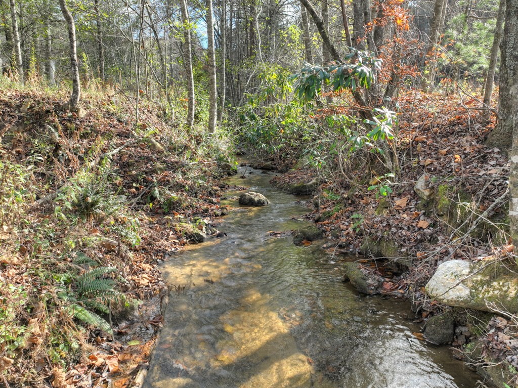 203 Buck Creek Trail