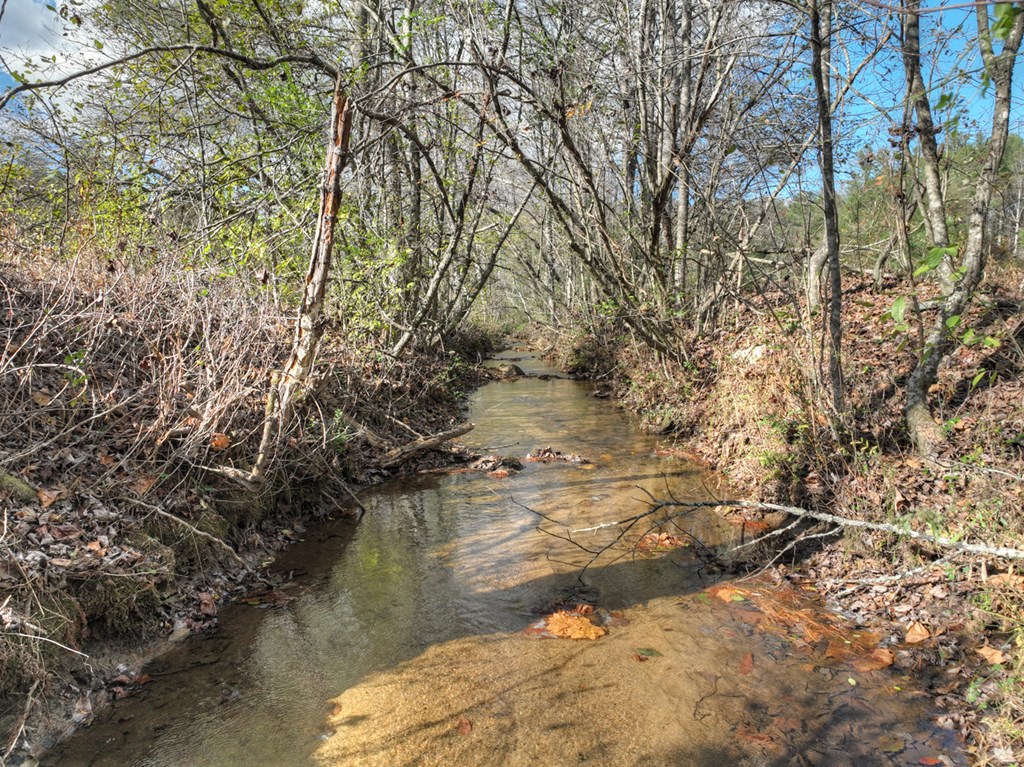 203 Buck Creek Trail