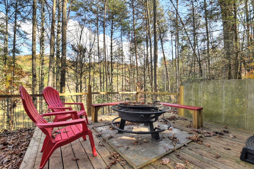 203 Buck Creek Trail