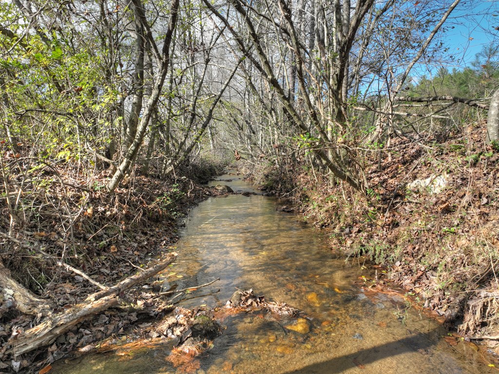 203 Buck Creek Trail