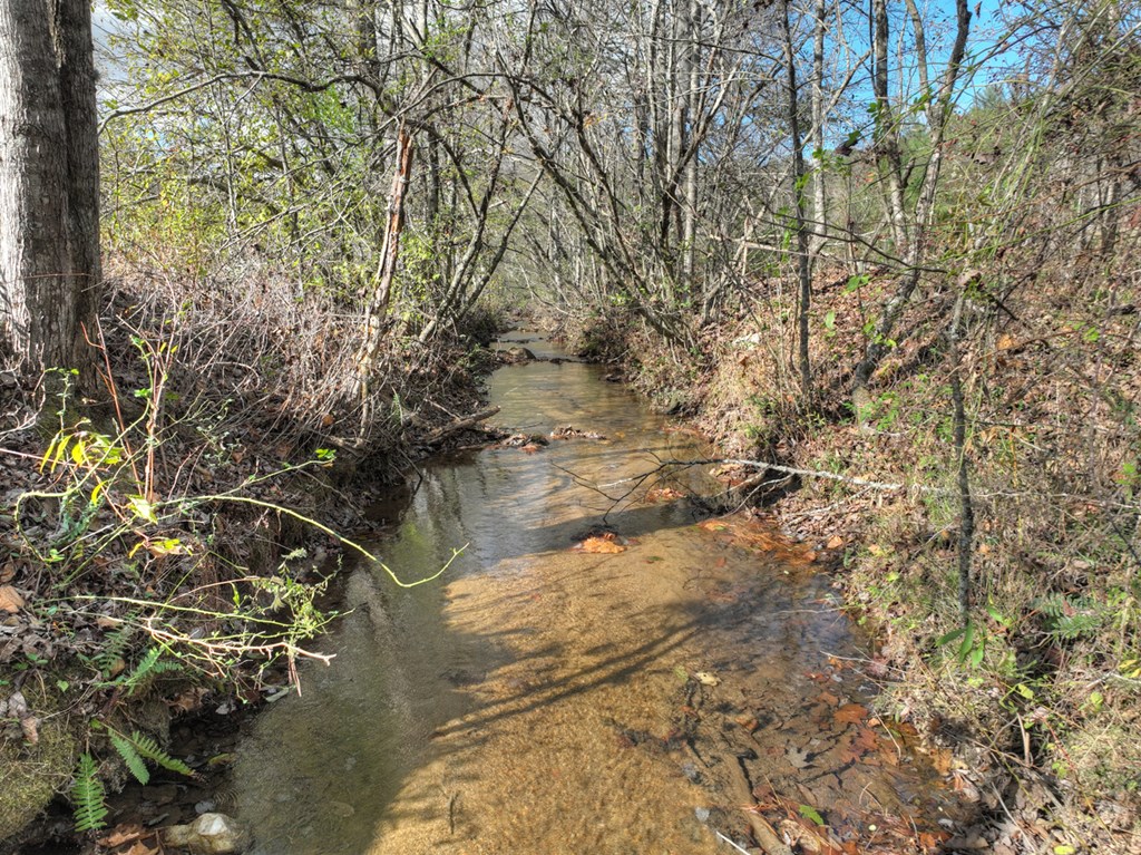 203 Buck Creek Trail