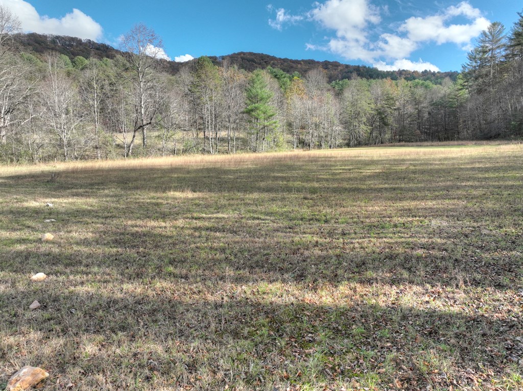 203 Buck Creek Trail