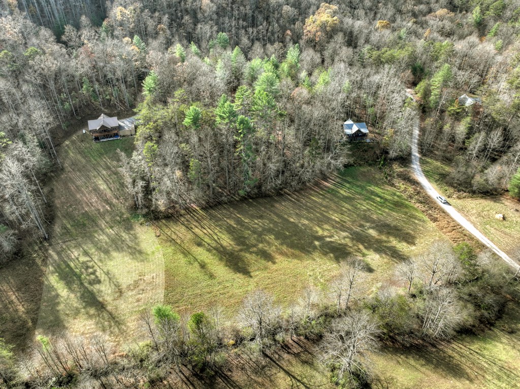 203 Buck Creek Trail