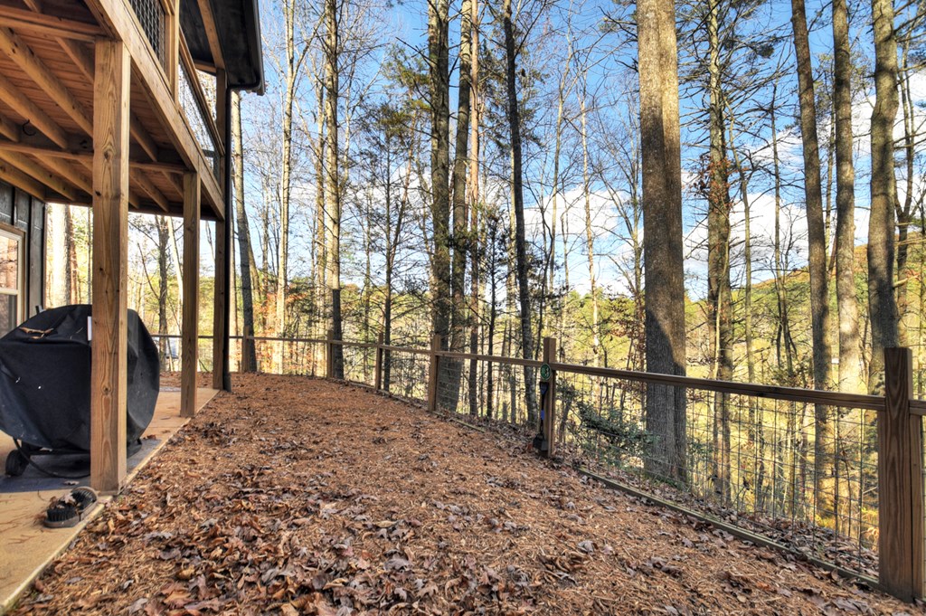 203 Buck Creek Trail