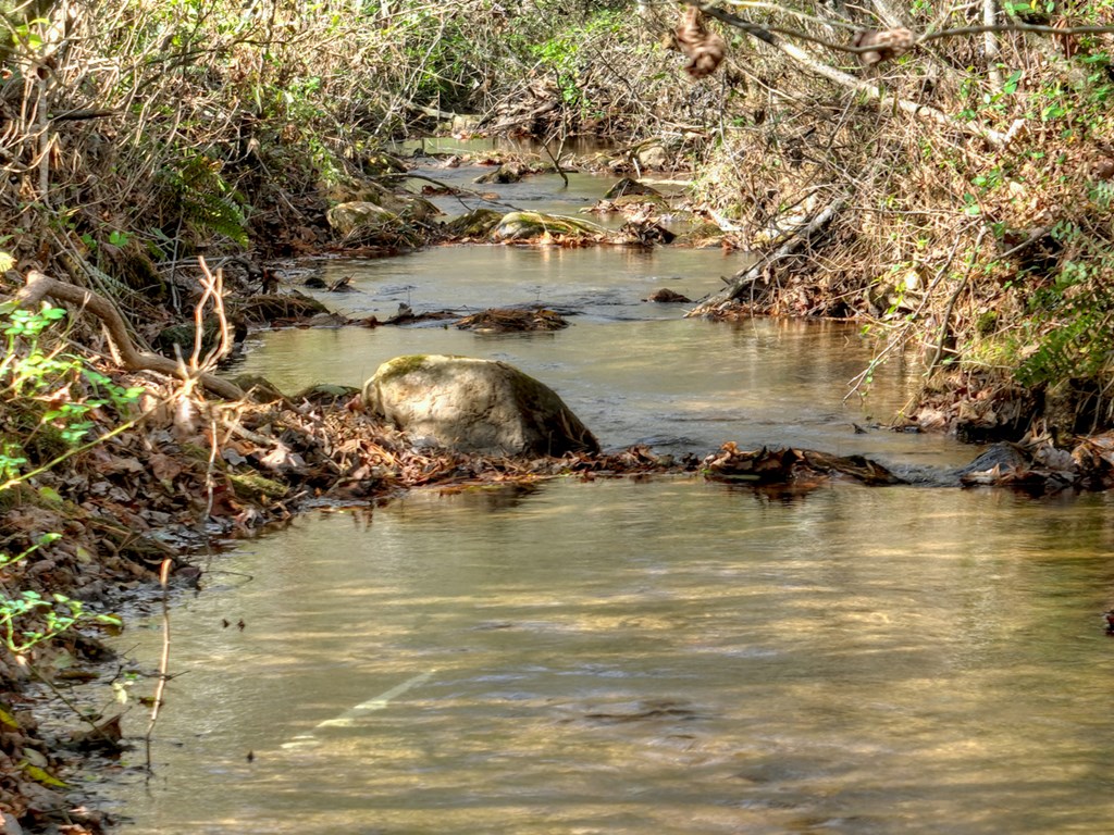 203 Buck Creek Trail