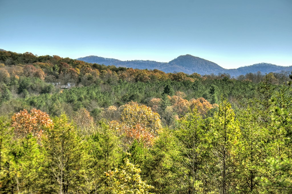 1183 Barnes Creek Road