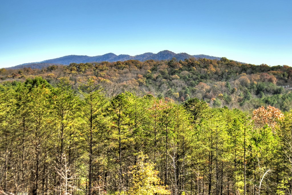 1183 Barnes Creek Road