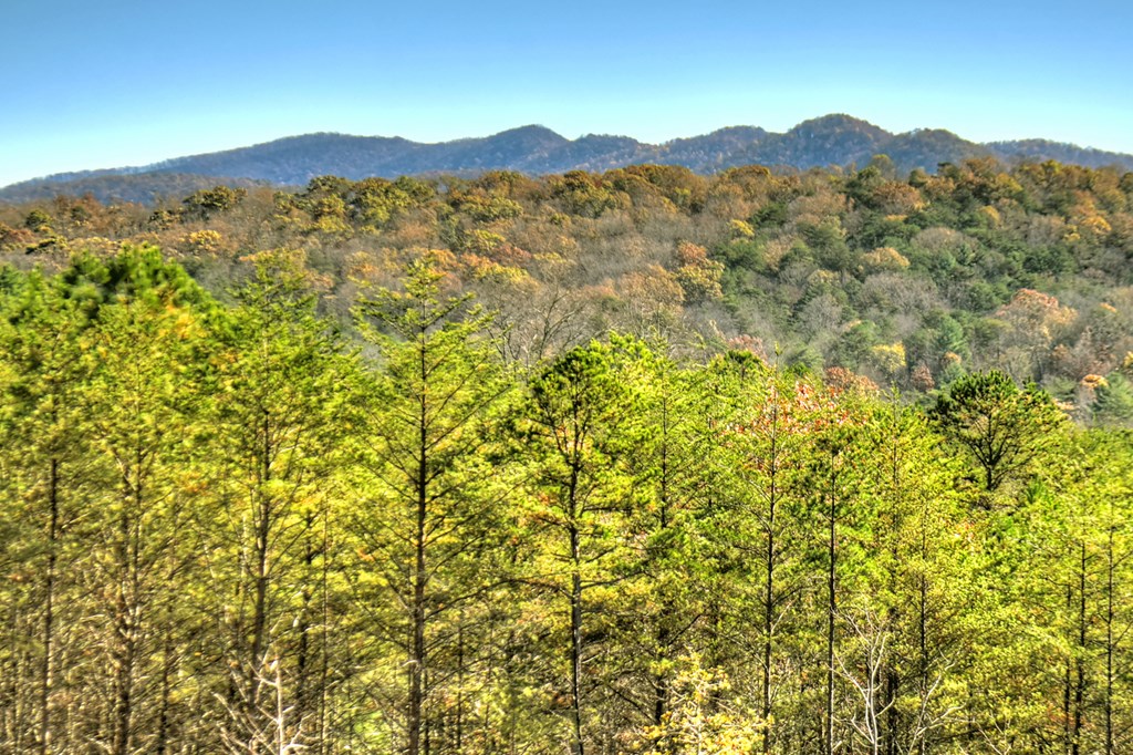 1183 Barnes Creek Road