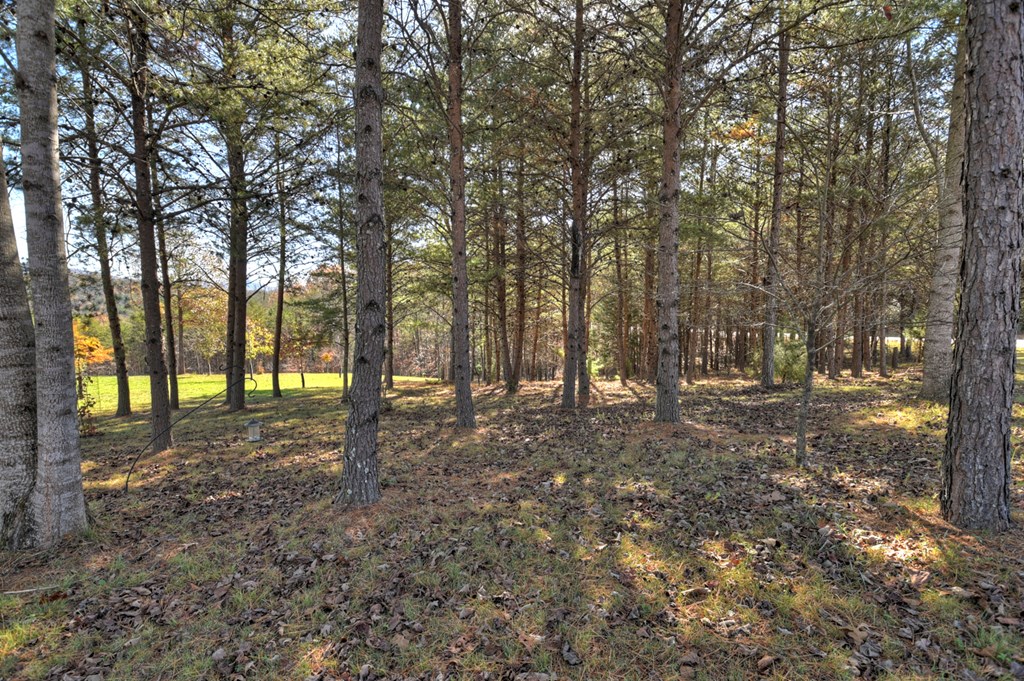 1183 Barnes Creek Road