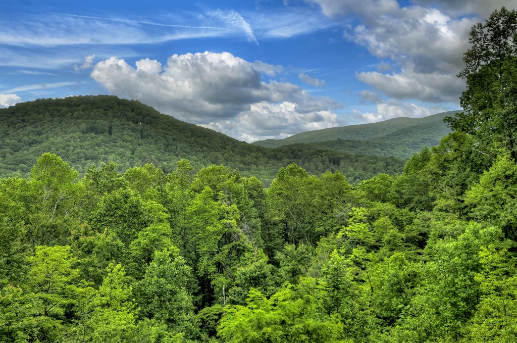 258 Forest Ridge Drive