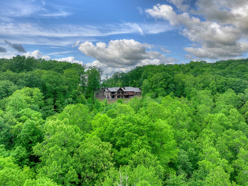 258 Forest Ridge Drive