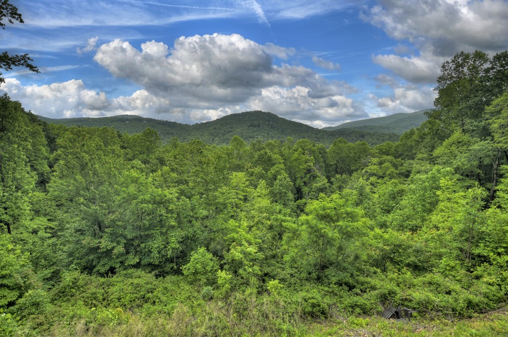 258 Forest Ridge Drive