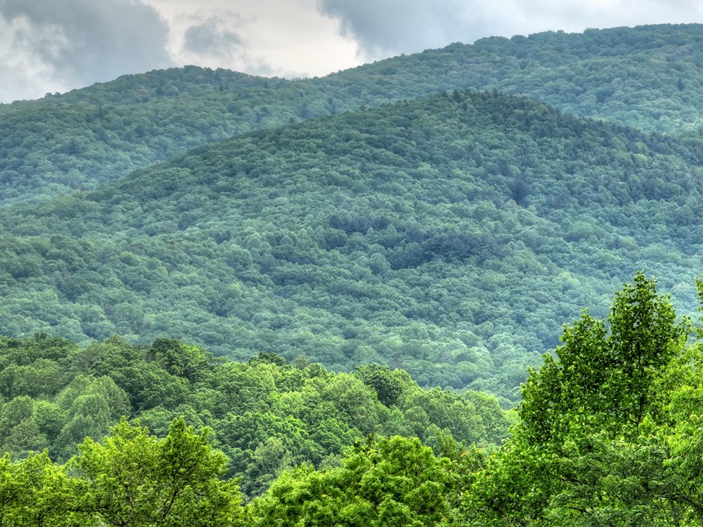 258 Forest Ridge Drive