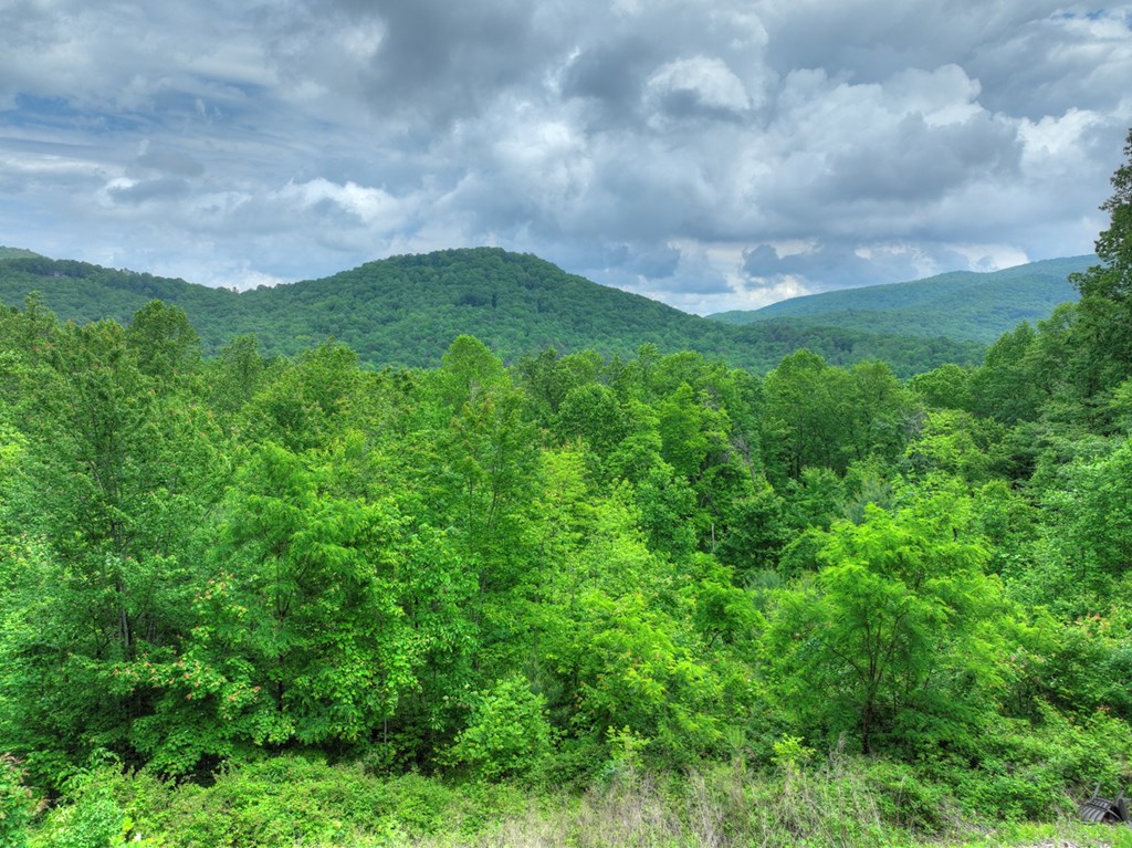 258 Forest Ridge Drive