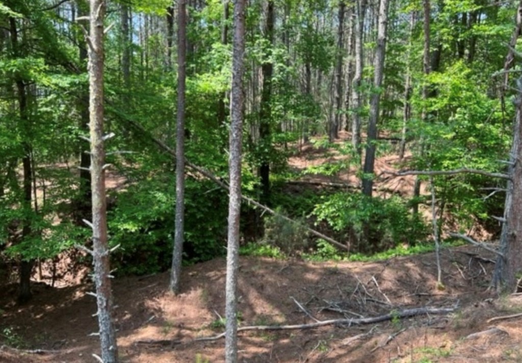 LT 35 Highland Woods