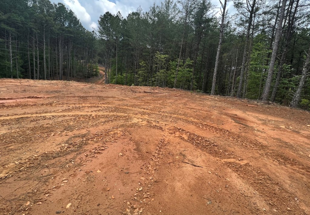 LT 35 Highland Woods