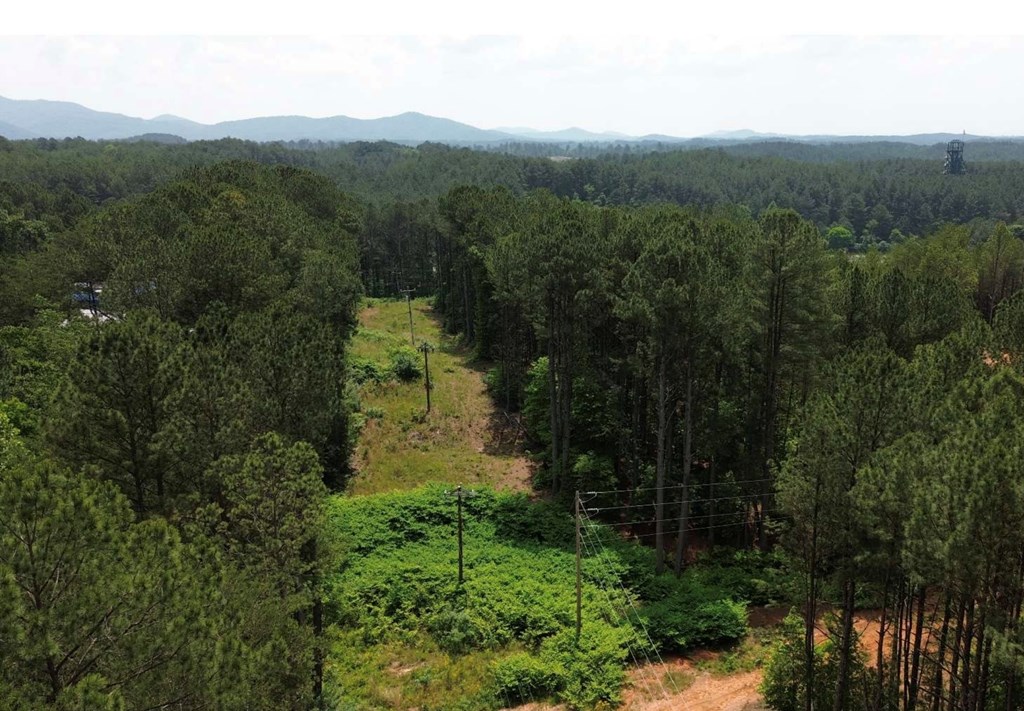 LT 35 Highland Woods