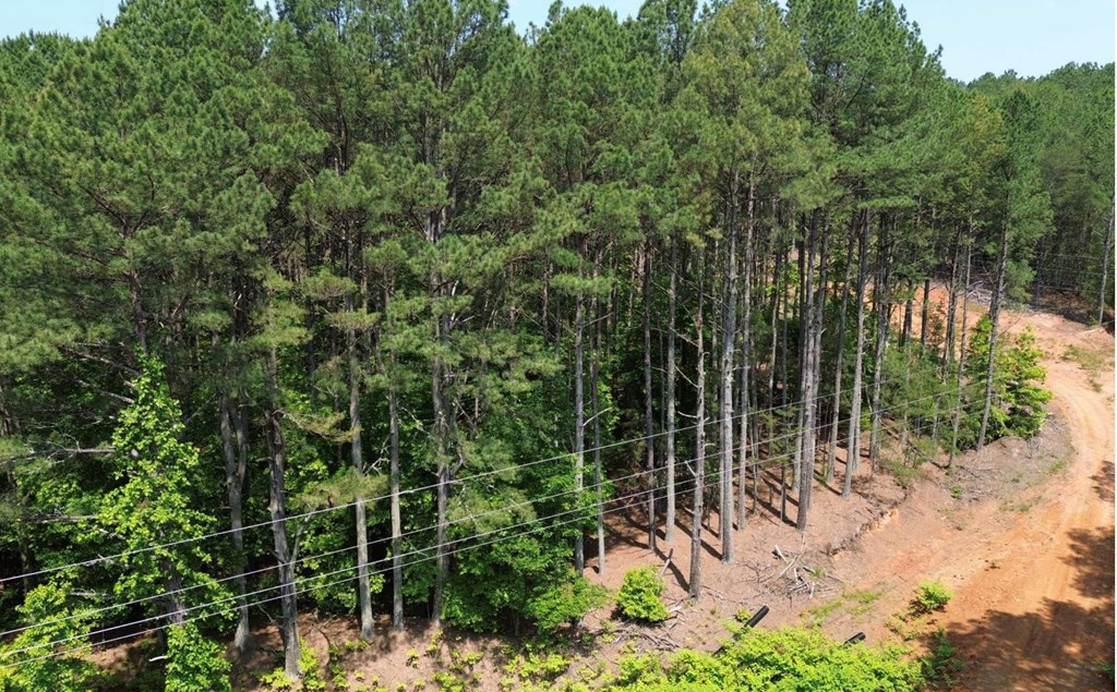 LT 35 Highland Woods