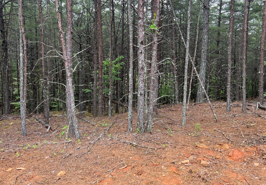 LT 35 Highland Woods