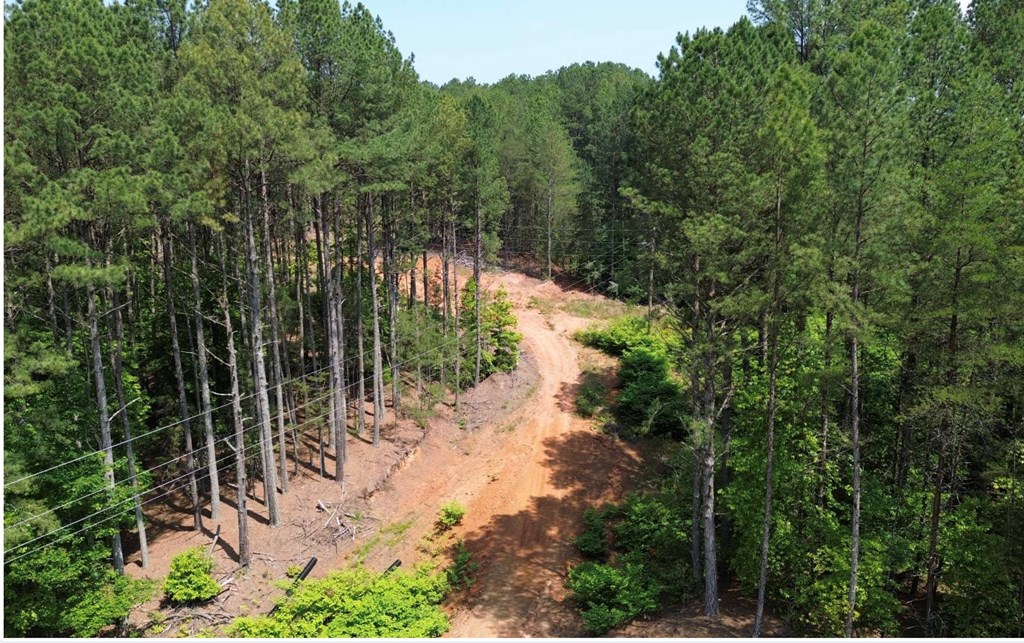 LT 35 Highland Woods