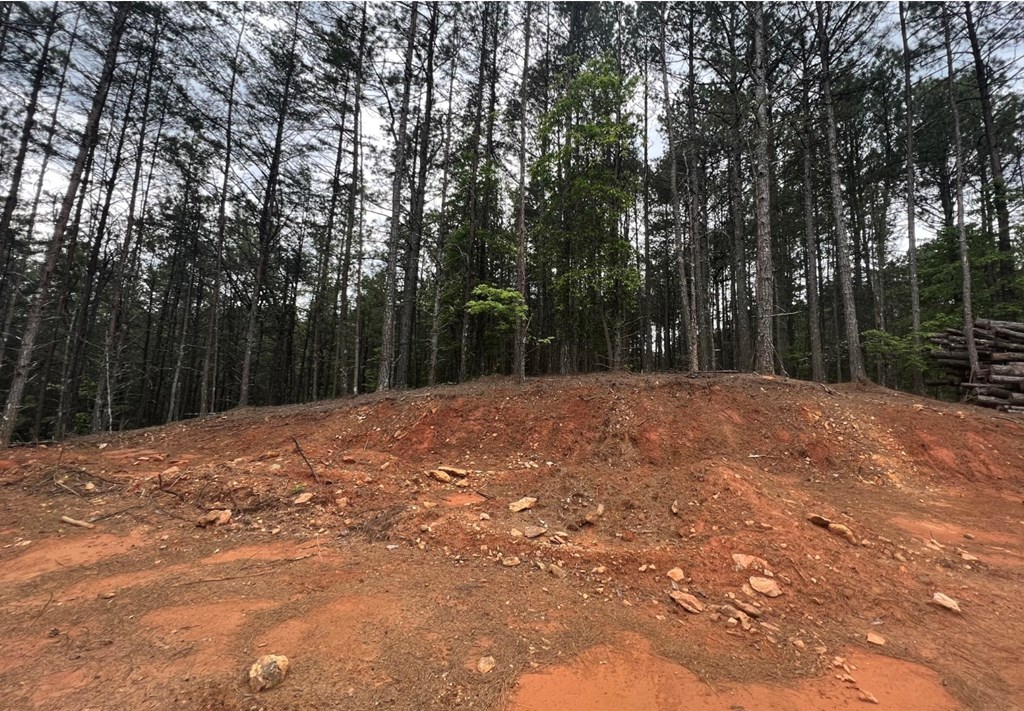 LT 35 Highland Woods