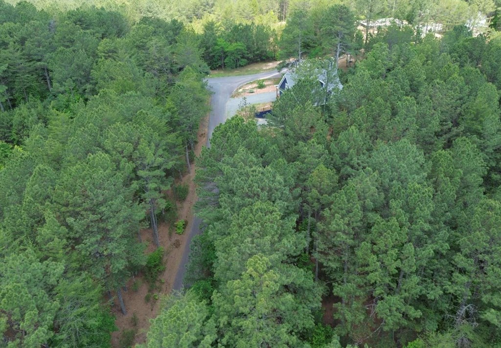 LT 35 Highland Woods