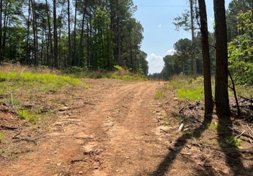 LT 35 Highland Woods