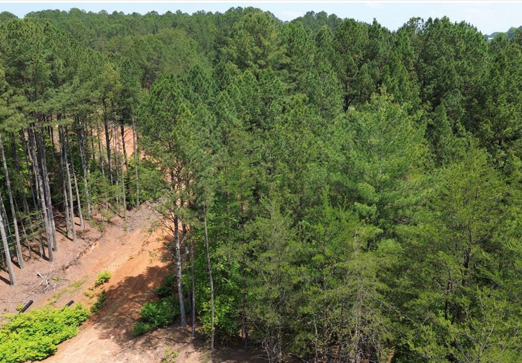 LT 35 Highland Woods