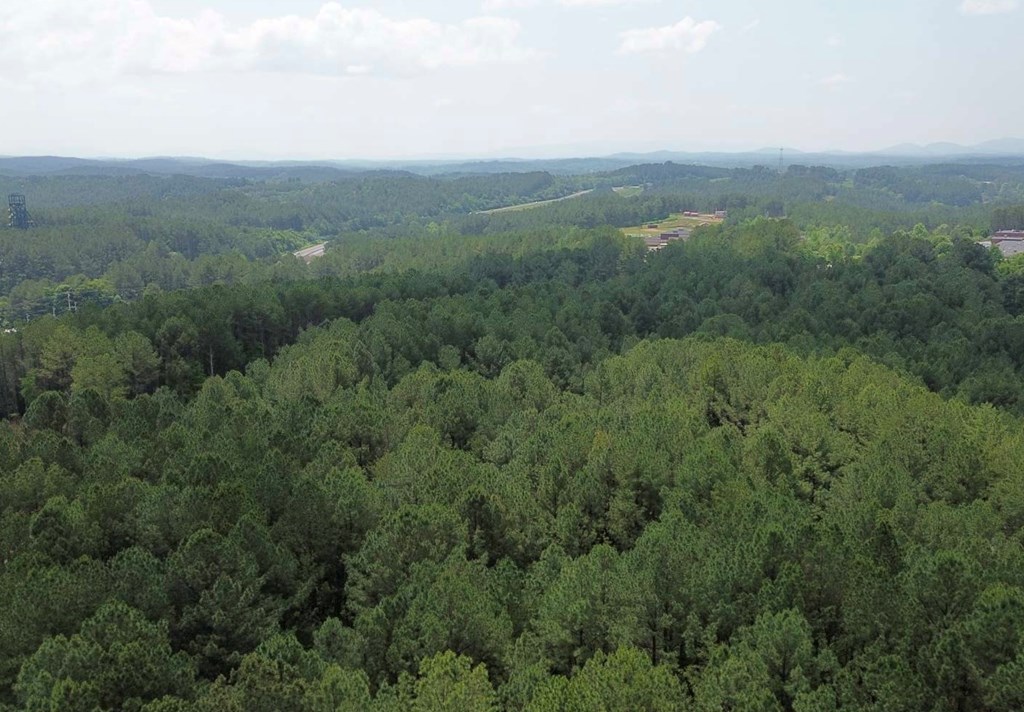 LT 35 Highland Woods