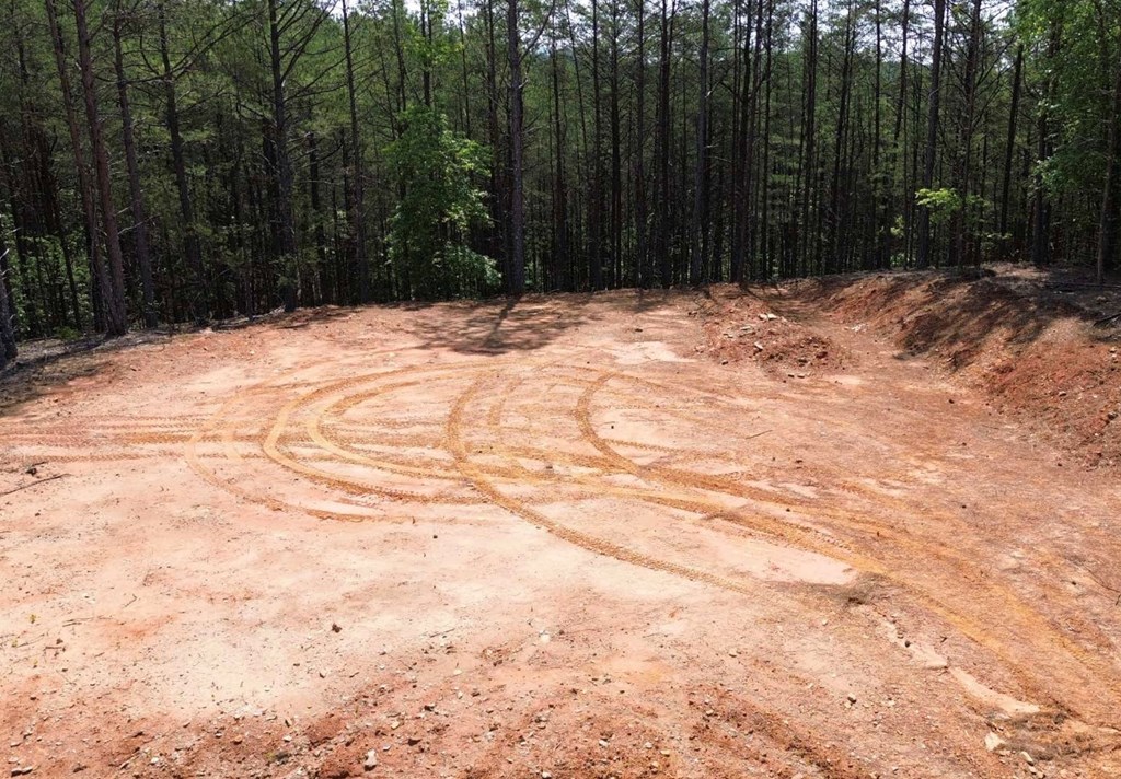 LT 35 Highland Woods