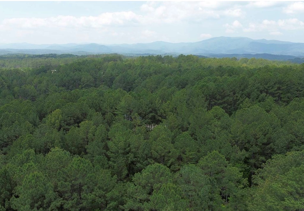 LT 35 Highland Woods