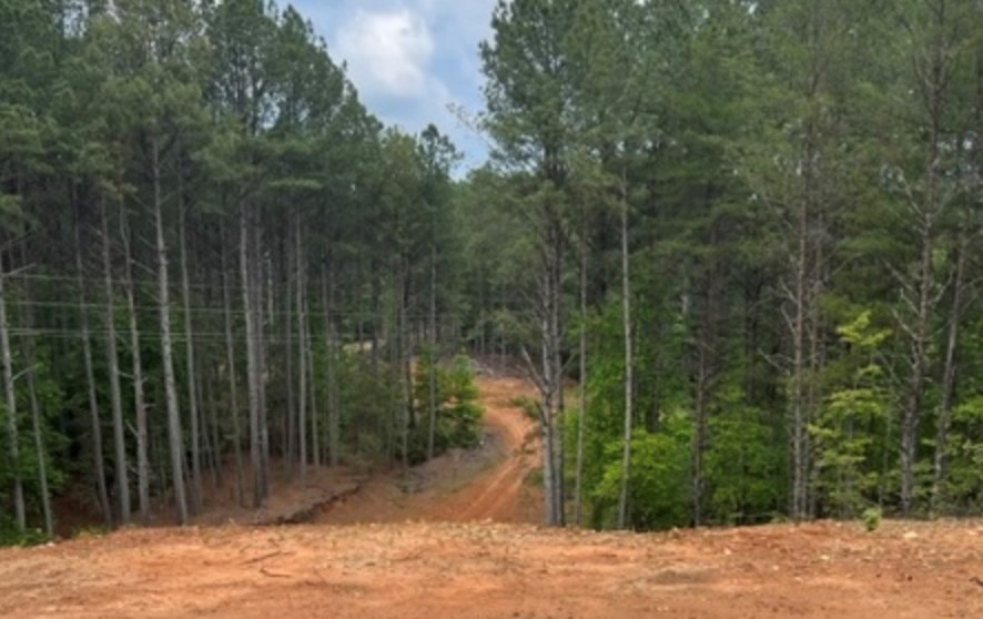 LT 35 Highland Woods