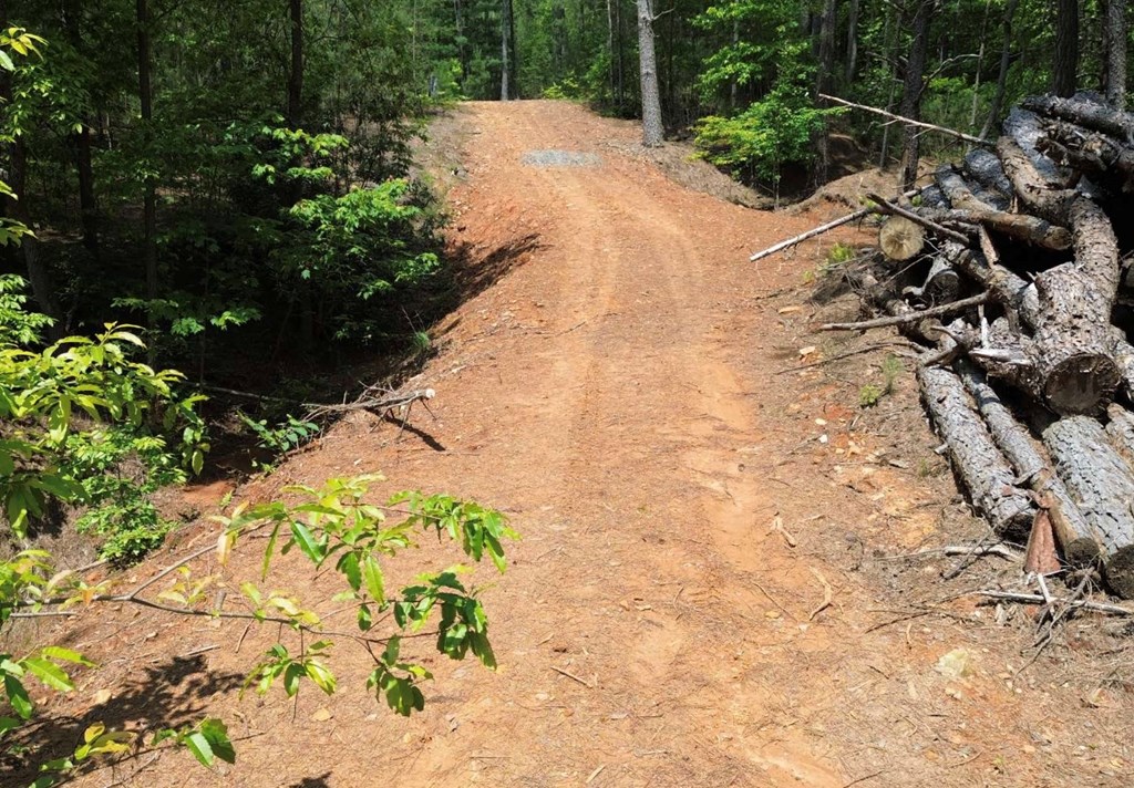 LT 35 Highland Woods